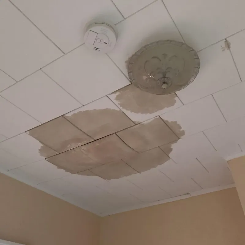 Ceiling Water Damage Repair in Badin, NC