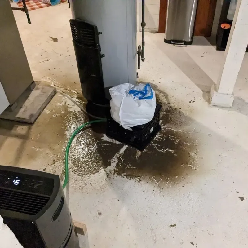 Sewage Backup Cleanup Service in Badin, NC